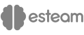 asteam